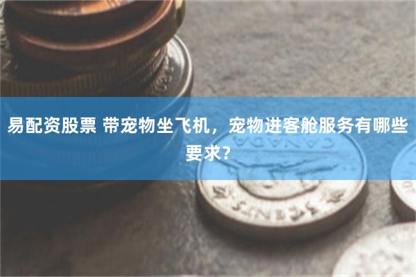 易配资股票 带宠物坐飞机，宠物进客舱服务有哪些要求？