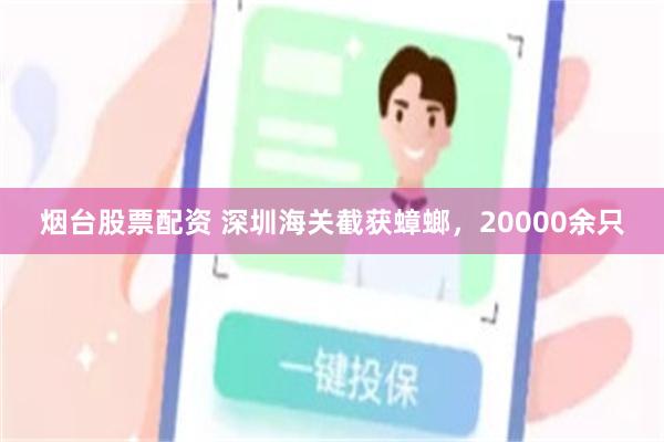 烟台股票配资 深圳海关截获蟑螂，20000余只