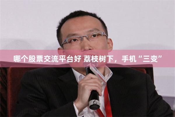 哪个股票交流平台好 荔枝树下，手机“三变”