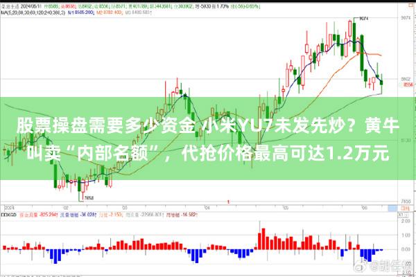 股票操盘需要多少资金 小米YU7未发先炒？黄牛叫卖“内部名额”，代抢价格最高可达1.2万元