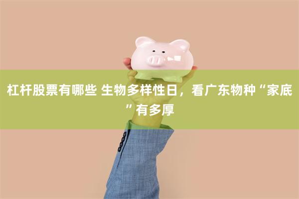 杠杆股票有哪些 生物多样性日，看广东物种“家底”有多厚