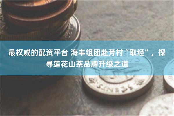 最权威的配资平台 海丰组团赴芳村“取经”，探寻莲花山茶品牌升级之道