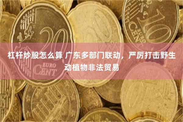 杠杆炒股怎么算 广东多部门联动，严厉打击野生动植物非法贸易