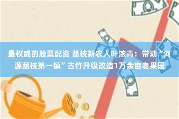 最权威的股票配资 荔枝新农人叶浓青：带动“河源荔枝第一镇”古竹升级改造1万余亩老果园