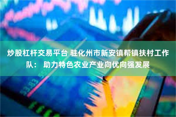 炒股杠杆交易平台 驻化州市新安镇帮镇扶村工作队： 助力特色农业产业向优向强发展