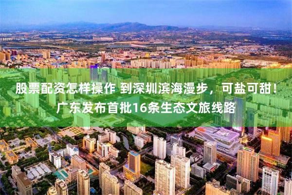 股票配资怎样操作 到深圳滨海漫步，可盐可甜！广东发布首批16条生态文旅线路