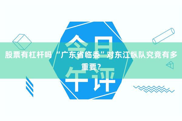 股票有杠杆吗 “广东省临委”对东江纵队究竟有多重要？