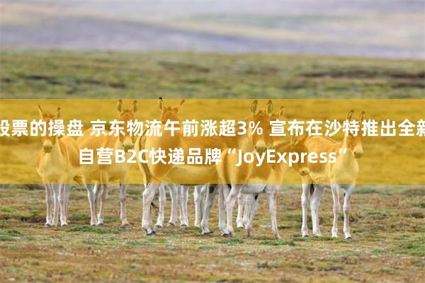 股票的操盘 京东物流午前涨超3% 宣布在沙特推出全新自营B2C快递品牌“JoyExpress”