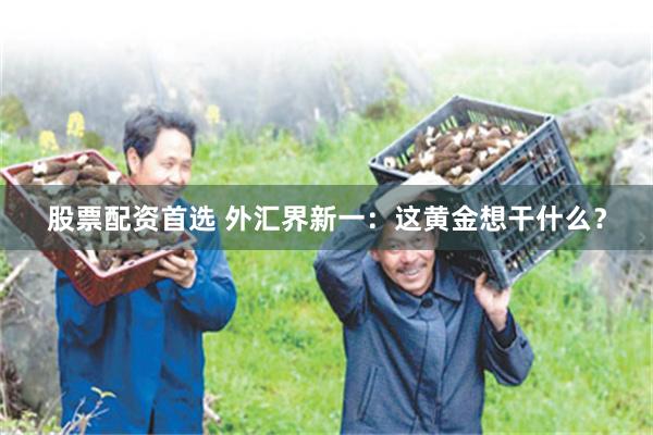 股票配资首选 外汇界新一：这黄金想干什么？