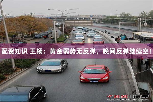 配资知识 王杨：黄金弱势无反弹，晚间反弹继续空！