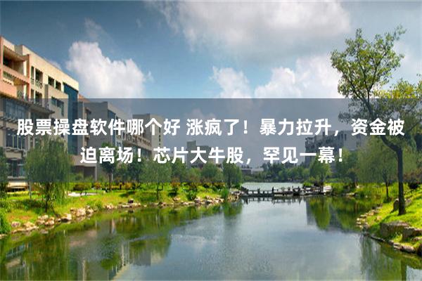 股票操盘软件哪个好 涨疯了！暴力拉升，资金被迫离场！芯片大牛股，罕见一幕！