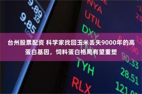 台州股票配资 科学家找回玉米丢失9000年的高蛋白基因，饲料蛋白格局有望重塑