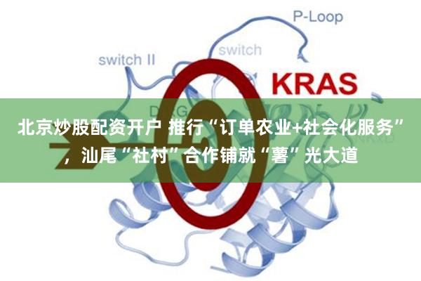 北京炒股配资开户 推行“订单农业+社会化服务”，汕尾“社村”合作铺就“薯”光大道