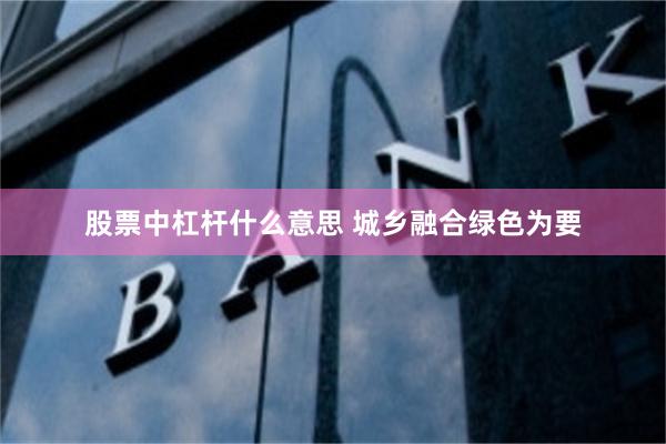 股票中杠杆什么意思 城乡融合绿色为要