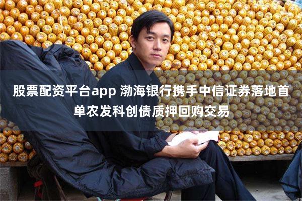 股票配资平台app 渤海银行携手中信证券落地首单农发科创债质押回购交易